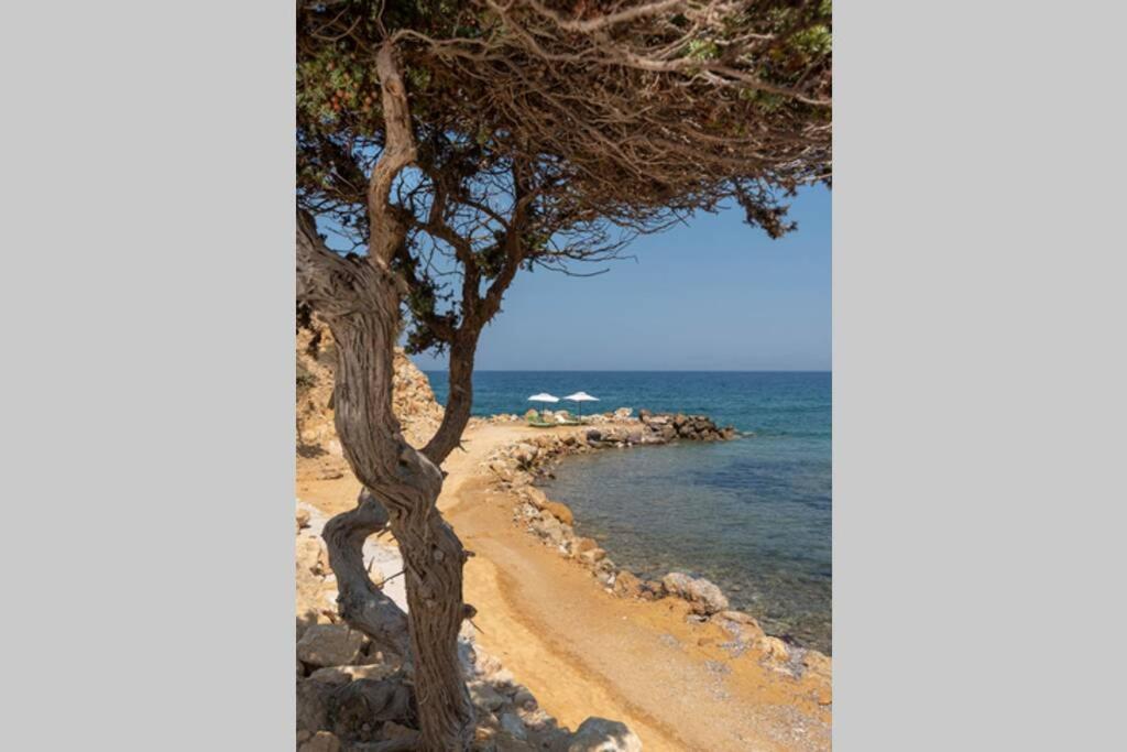 Ktima Sfakia Villa Kefalos  Bagian luar foto